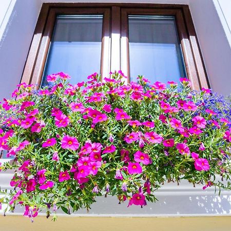 Casa Brainer Apartment Sibiu Exterior photo